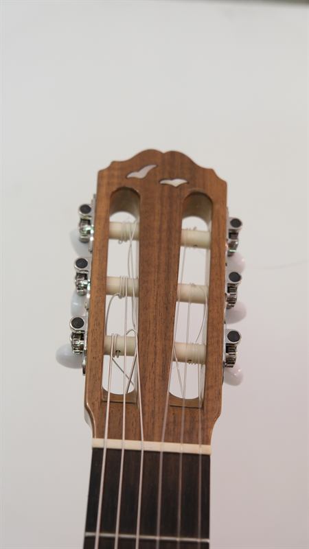 Paletta della chitarra vista frontalmente